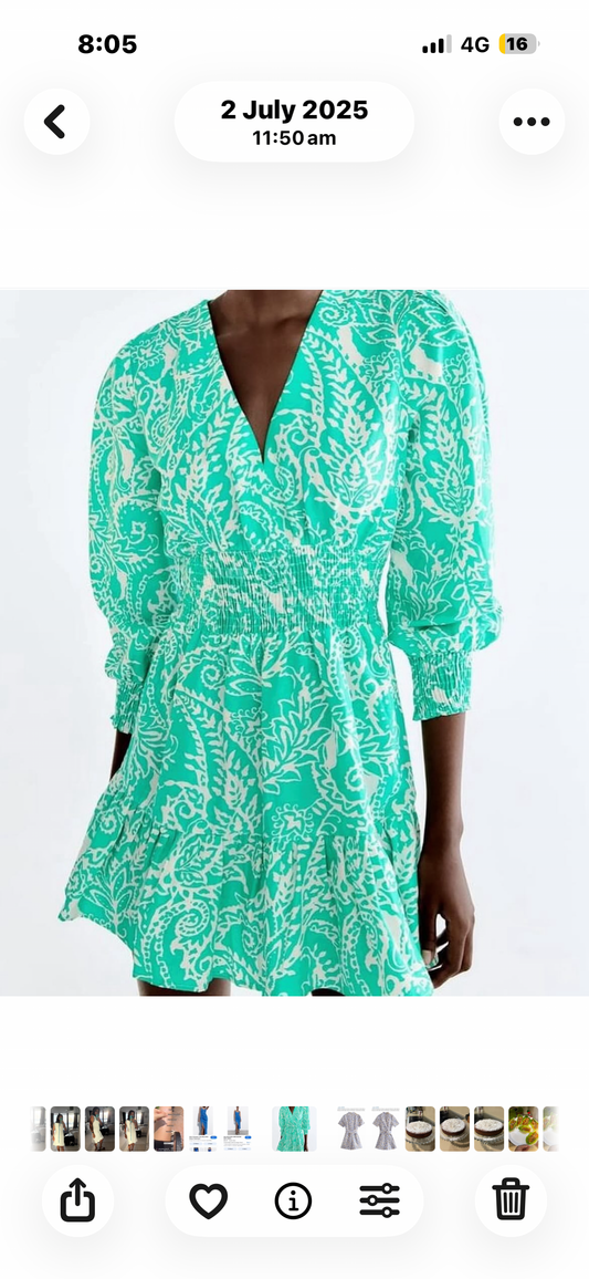 Zara dress