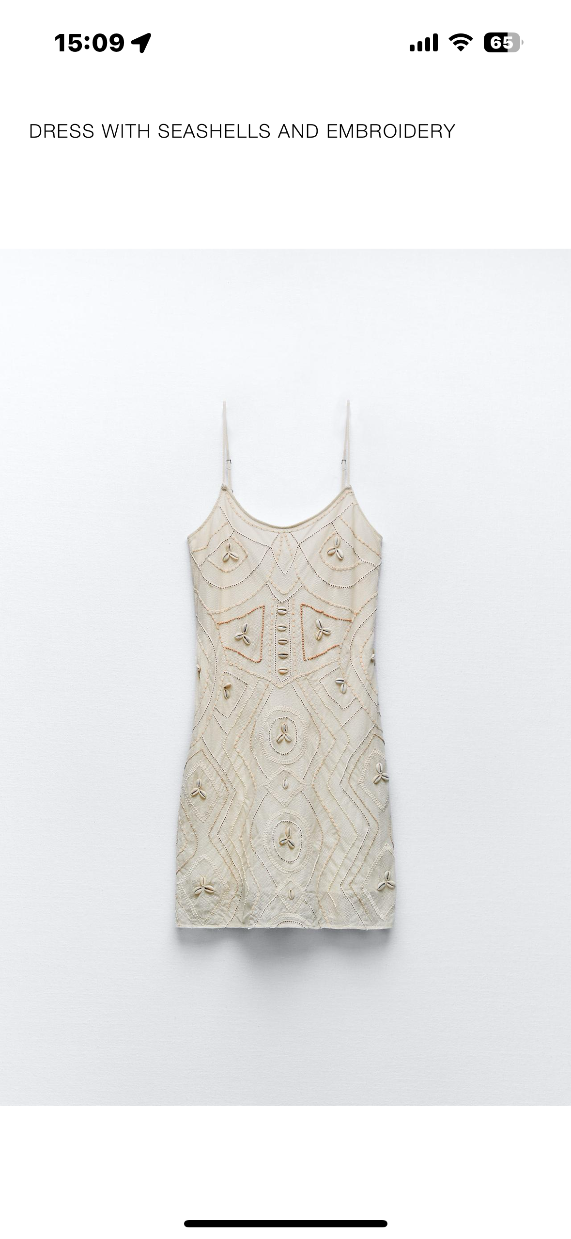 Zara dress