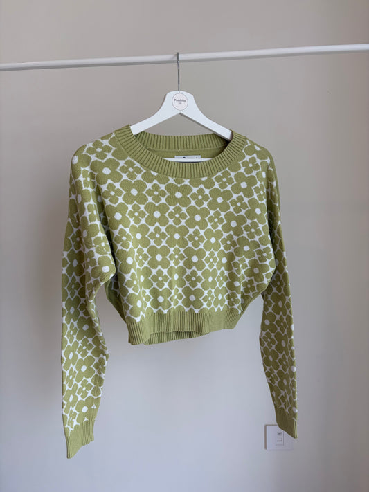 Hollister Floral Knit Cropped Sweater (Green & White)